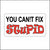 You Can’t Fix Stupid Funny Hard Hat Sticker. Printed on a White Background the Words You Can!T Fix Are in Black Ink and the Word Stupid Is in Red Ink.
